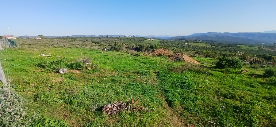3 Bedroom Property for Sale in Uitenhage Rural Eastern Cape